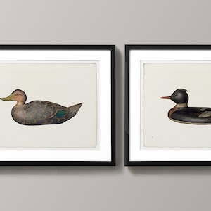 May include: Three framed prints of ducks, each with a different species. The first duck is a teal duck with a green head and a brown body. The second duck is a black and white duck with a red beak. The third duck is a black duck with a yellow beak.