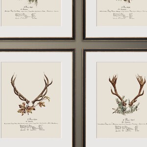 Deer Art Print Gift for Him features Deer Antlers, Deer Print for Cabin Decor, Office, or Man Cave, Rustic Decor Deer Hunting Art