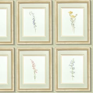 Collection of Vintage Botanical Prints, Set of 12 Antique Botanical Prints, Rustic Botanical Wall Art, Floral Art Prints, Watercolor Floral