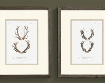 Unframed Rustic Deer Art Print - Office Decor - Cabin Wall Art - Gift for Hunter - Vintage Cottagecore - Set of 1,3,4 or 6 - Not Photo Paper