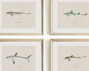 Shark Wall Art, Vintage Shark Prints, Shark Art Prints, Shark Wall Art for Boy's Nursery, Shark Nursery Art, Nautical Decor or Coastal Decor