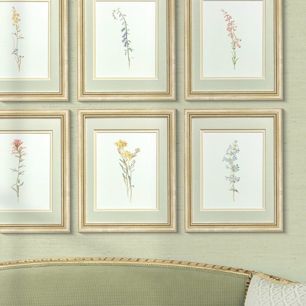 Collection of Vintage Watercolor Botanical Art Prints, Printed on Imported Watercolor Paper, Gold Gilded Frames, Perfect Gift for Her