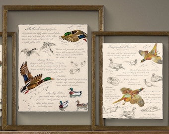Vintage Field Guide Duck Art Prints - Game Bird Art for Office Man Cave Lake House or Cabin - Rustic Hunting Decor
