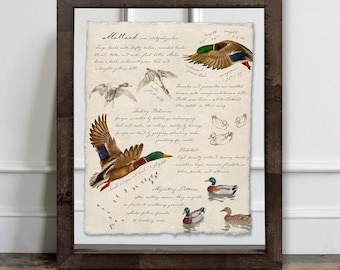Duck Hunting Field Guide Art Prints – Waterfowl Wall Art for Cabin, Lodge, or Man Cave | Rustic Hunting Decor