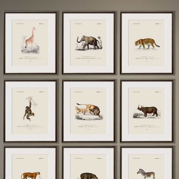 Stampe adorabili di animali da safari per l'arredamento della cameretta dei bambini - Arte in stile vintage, arte murale per la cameretta dei bambini