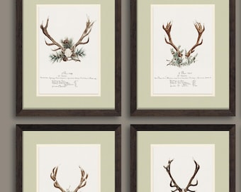 Unframed Deer Art Print for Him features Deer Antlers, Deer Print for Cabin Decor, Office, or Man Cave, Rustic Decor - Choose Sets up to 9