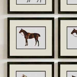 Framed Equestrian Wall Art Prints, Vintage Horse Art Illustration for Rustic and Farmhouse Style Decor, Horse Decor