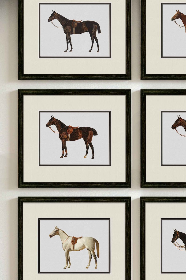 Stampe artistiche equestri incorniciate per pareti, illustrazioni vintage di cavalli per decorazioni in stile rustico e country, decorazioni a tema cavalli immagine 1