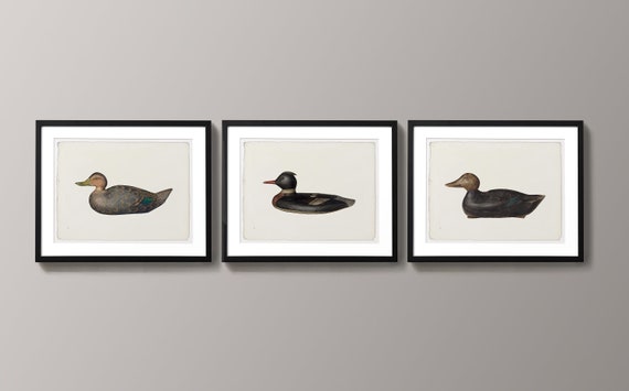 Hunt Club Vintage Duck Art Prints for Your Man Cave, Art for Man's Office, Rustic Decor for Duck Camp,  Rustic Duck Wall Art for Lake House
