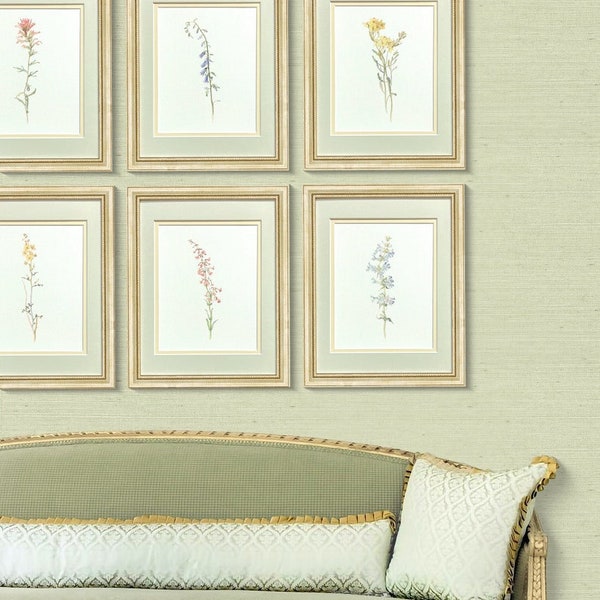Láminas botánicas vintage enmarcadas, conjunto de 12 láminas botánicas antiguas, arte mural botánico rústico, acuarela floral