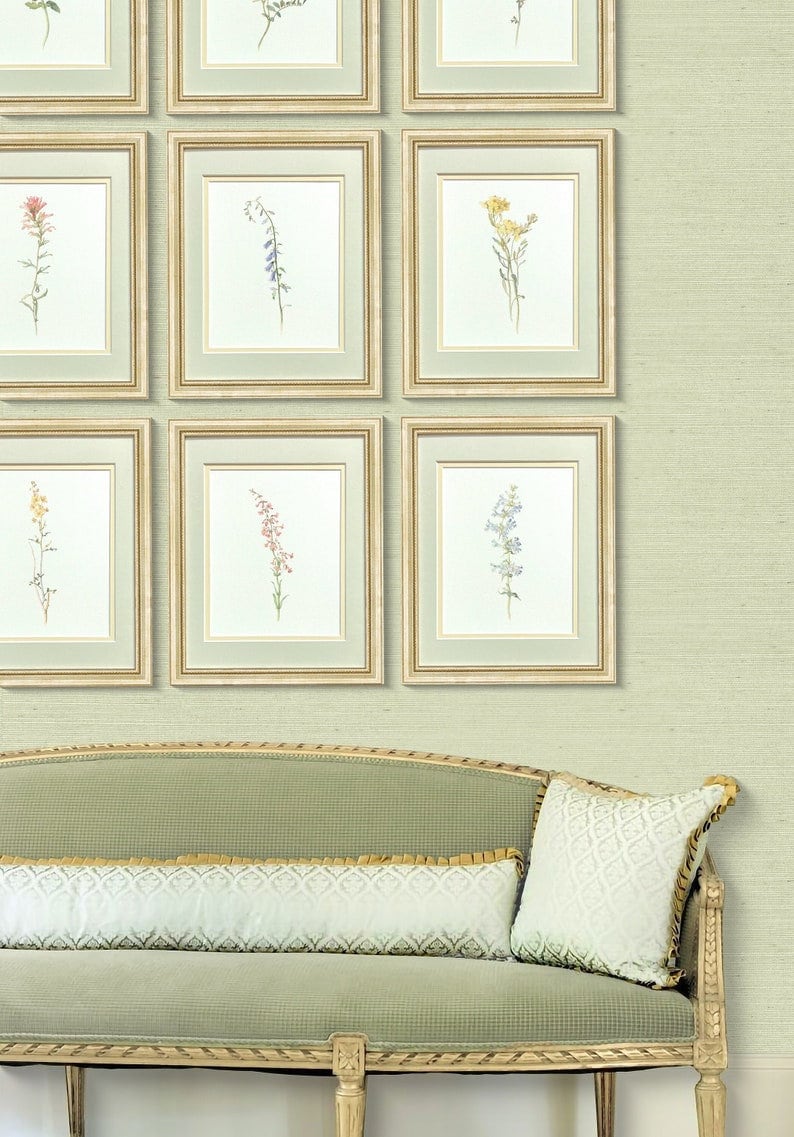 Framed Vintage Botanical Prints, Set of 12 Antique Botanical Prints, Rustic Botanical Wall Art, Watercolor Floral