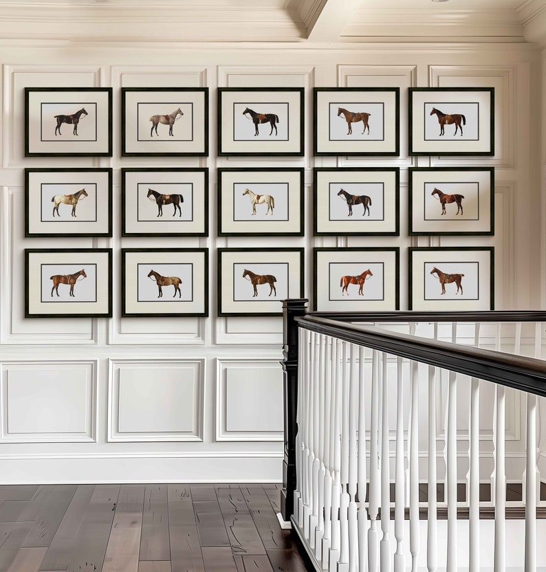 a wall with a bunch of framed horses on it