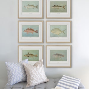 Colección de láminas artísticas enmarcadas de peces de agua salada: conjunto de 6 vibrantes pinturas oceánicas para decoración costera. Láminas artísticas.