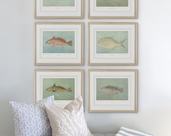 Unframed Saltwater Fish Art Print Collection: Set of 1,2,3,4 or 6 Vibrant Ocean Paintings for Coastal Home Decor, Framed Art Prints