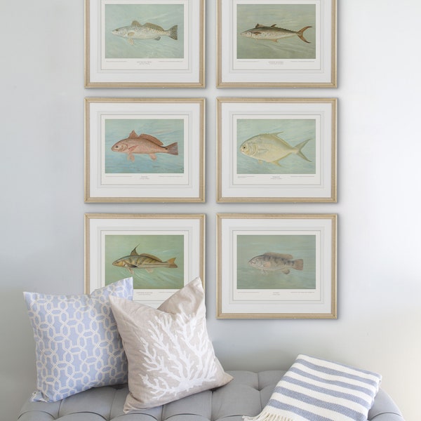 Vintage Saltwater Fish Wall Art Collection for Coastal Decor, Boho Chic Nautical Beach House Style Art Prints, Watercolor Coastal Art