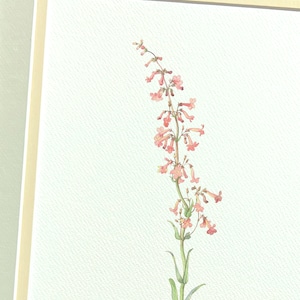 May include: A watercolor painting of a pink flower with green leaves on a white background.