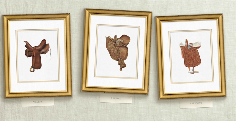 three framed pictures of different types of clothing hanging on a wall