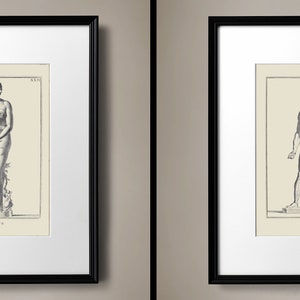 Vintage Architecture Art Prints for Grandmillennial Decor, Architecture Wall Art, Antique Architecture Drawing, Restoration Hardware Dupes image 4