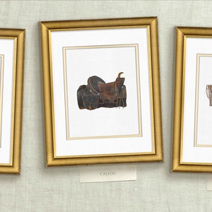 three framed pictures of horses and saddles hanging on a wall