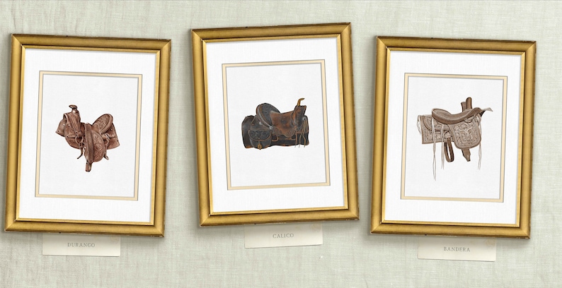 three framed pictures of horses and saddles hanging on a wall