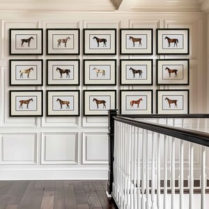 a wall with a bunch of framed horses on it