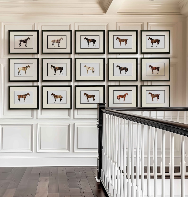 a wall with a bunch of framed horses on it