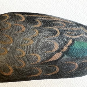 May include: Close-up of a dark gray and brown patterned duck feather with a teal green tip.