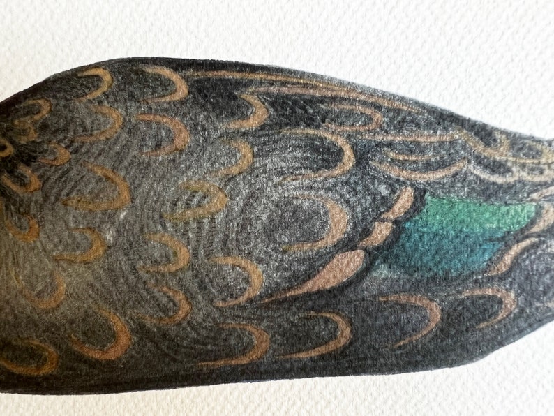 May include: Close-up of a dark gray and brown patterned duck feather with a teal green tip.