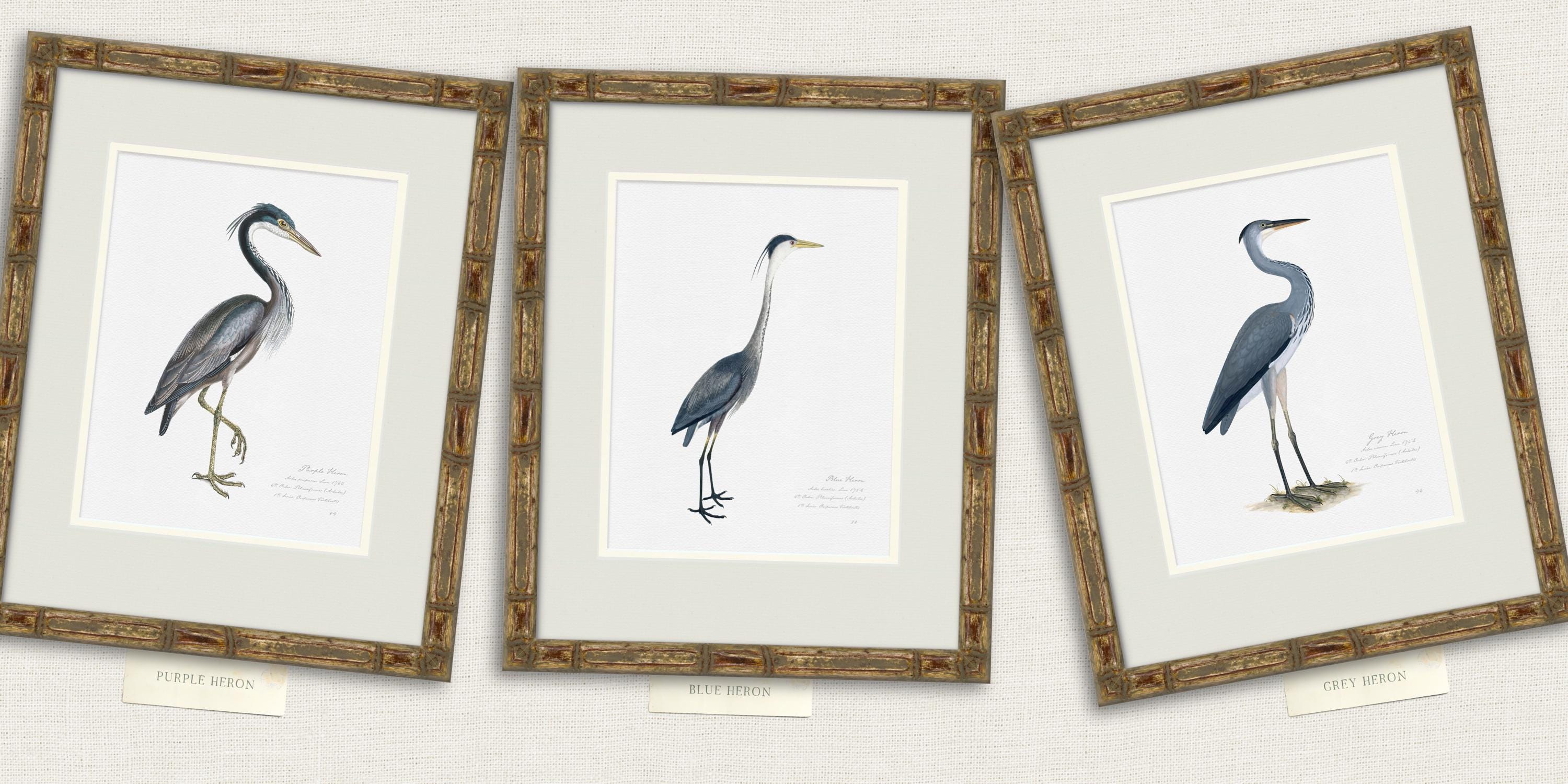 Vintage Sea Bird Prints, Coastal Art, Beach House Decor, Sea Gull Art ...