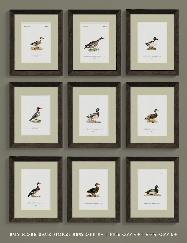 Vintage Enten-Kunstdruck für Jungenzimmer, antike Tierkunst für Bürodekor, Entenlager Rustikale Entenwandkunst für Haus am See oder Hütte Bild 3