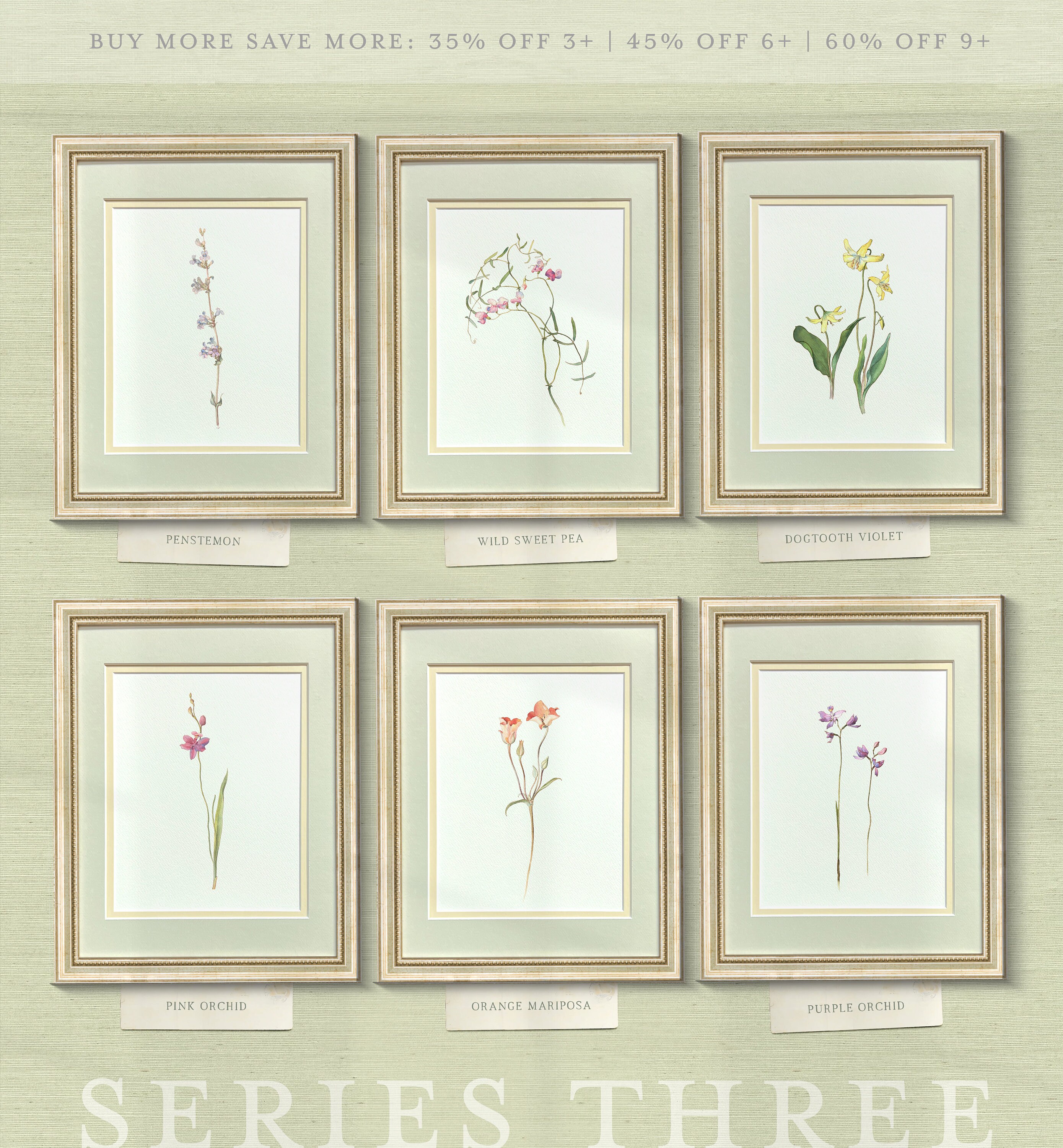 Trademark Fine Art Midnight Botanical Ii by Vision Studio 19