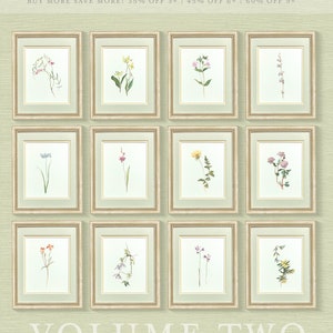May include: A collection of 12 framed botanical illustrations featuring various flowers and plants. The frames are gold with a light green mat. The illustrations are in a vintage style and are arranged in a grid pattern. The text "VOLUME TWO" is at the bottom of the image.