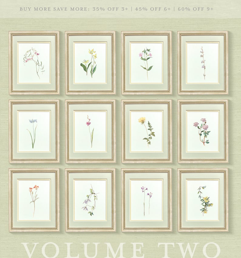 May include: A collection of 12 framed botanical illustrations featuring various flowers and plants. The frames are gold with a light green mat. The illustrations are in a vintage style and are arranged in a grid pattern. The text "VOLUME TWO" is at the bottom of the image.
