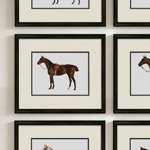 Equestrian Wall Art Prints, Vintage Horse Art Illustration for Rustic and Farmhouse Style Decor, Horse Decor