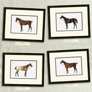 four framed pictures of horses on a wall