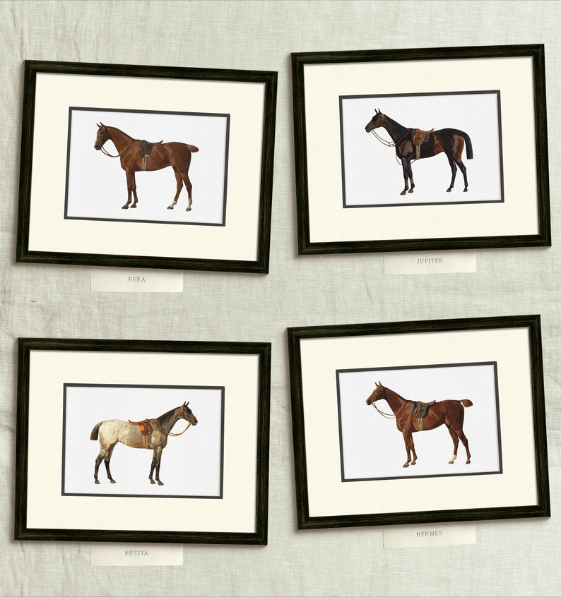 four framed pictures of horses on a wall