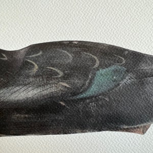 May include: Close-up of a black and gray duck decoy with a teal blue fish design on the side.