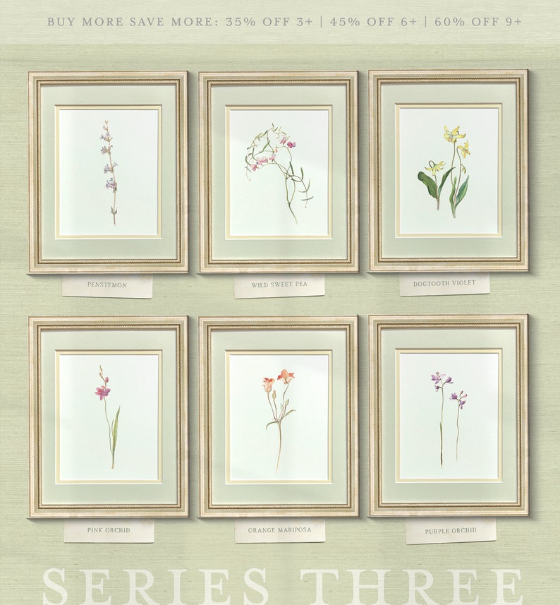 a set of six framed flower prints on a wall