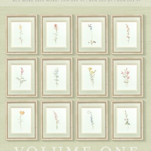 May include: Nine framed botanical prints featuring watercolor illustrations of various flowers in shades of pink, yellow, blue, and orange. The frames are gold with a white mat.