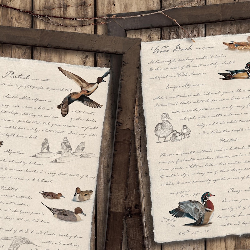 Vintage Hunting Prints - Etsy