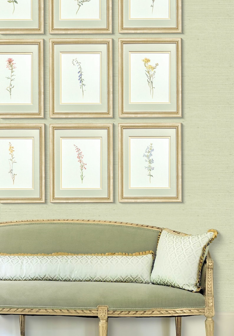 May include: A light green sofa with a white pillow and a long white pillow with a gold trim. The sofa is in front of a wall with eight framed botanical prints of various flowers.