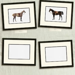 four framed pictures of horses on a wall