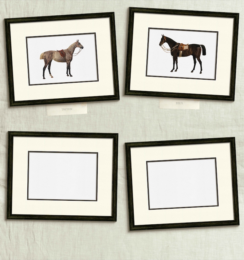 four framed pictures of horses on a wall