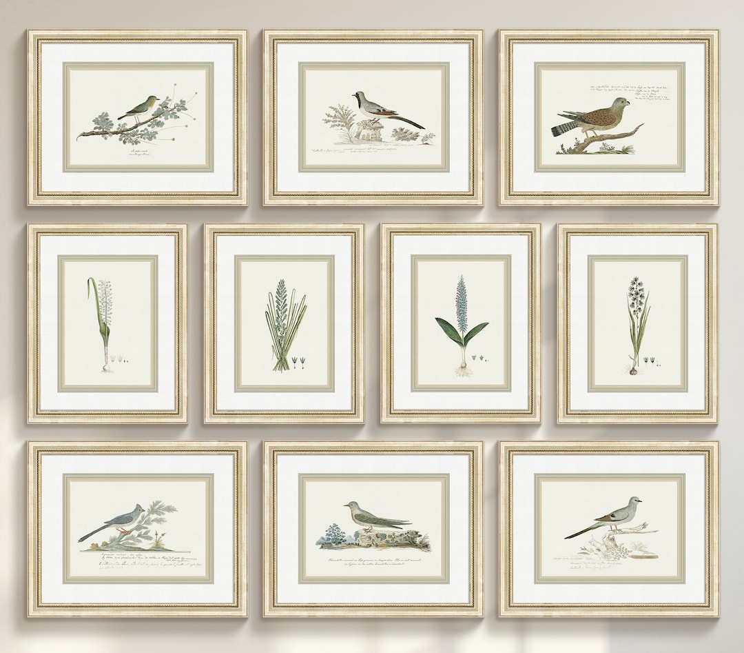 Set of 10 Antique Botanical and Bird Wall Art Prints, Archival Art ...