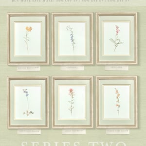 a set of six framed flowers on a wall