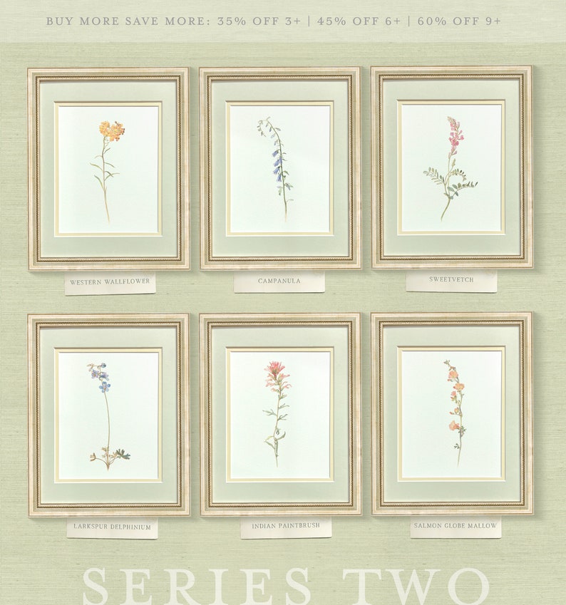 a set of six framed flowers on a wall