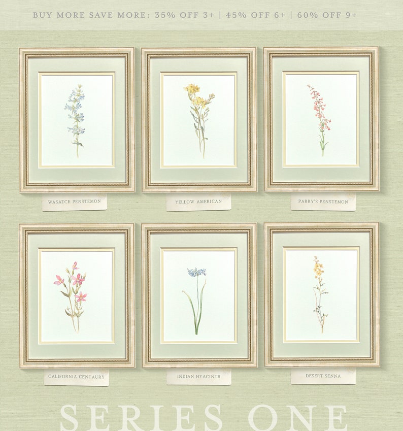 a set of six framed pictures of wildflowers