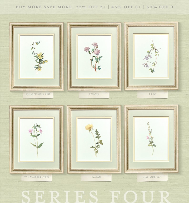 a set of six framed pictures of wildflowers