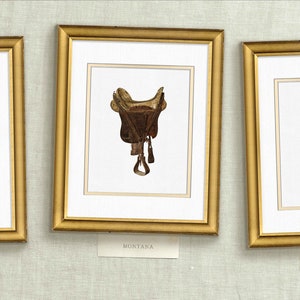 May include: Three framed watercolor paintings of saddles, each with a different state name below: Arizona, Montana, and Colorado.