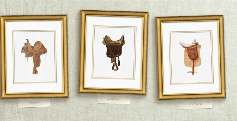 May include: Three framed watercolor paintings of saddles, each with a different state name below: Arizona, Montana, and Colorado.